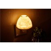Exquisite Wall-mounted & Plug-in Hand-Made White Porcelain Night & Ambience Light, Pluggable Home Fragrance Diffuser, Bas-Relief Craft, No Flame, with One More Bulb Exquisite Wall-mounted & Plug-in Hand-Made White Porcelain Night & Ambience Light, Pluggable Home Fragrance Diffuser, Bas-Relief Craft, No Flame, with One More Bulb