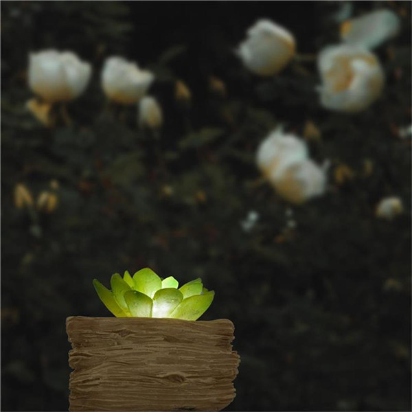 Artificial Succulents Potted with Solar Table Lamp, Garden Patio Lights for Home Party Yard Patio Outdoor Indoor Decoration Night Lamp Artificial Succulents Potted with Solar Table Lamp, Garden Patio Lights for Home Party Yard Patio Outdoor Indoor Decoration Night Lamp