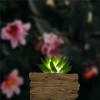 Artificial Succulents Potted with Solar Table Lamp, Garden Patio Lights for Home Party Yard Patio Outdoor Indoor Decoration Night Lamp Artificial Succulents Potted with Solar Table Lamp, Garden Patio Lights for Home Party Yard Patio Outdoor Indoor Decoration Night Lamp