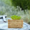 Artificial Succulents Potted with Solar Table Lamp, Garden Patio Lights for Home Party Yard Patio Outdoor Indoor Decoration Night Lamp Artificial Succulents Potted with Solar Table Lamp, Garden Patio Lights for Home Party Yard Patio Outdoor Indoor Decoration Night Lamp