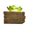 Artificial Succulents Potted with Solar Table Lamp, Garden Patio Lights for Home Party Yard Patio Outdoor Indoor Decoration Night Lamp Artificial Succulents Potted with Solar Table Lamp, Garden Patio Lights for Home Party Yard Patio Outdoor Indoor Decoration Night Lamp