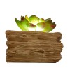 Artificial Succulents Potted with Solar Table Lamp, Garden Patio Lights for Home Party Yard Patio Outdoor Indoor Decoration Night Lamp Artificial Succulents Potted with Solar Table Lamp, Garden Patio Lights for Home Party Yard Patio Outdoor Indoor Decoration Night Lamp