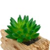 Artificial Succulents Potted with Solar Table Lamp, Garden Patio Lights for Home Party Yard Patio Outdoor Indoor Decoration Night Lamp Artificial Succulents Potted with Solar Table Lamp, Garden Patio Lights for Home Party Yard Patio Outdoor Indoor Decoration Night Lamp