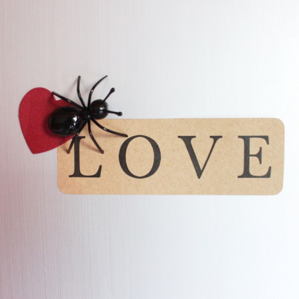 3D Ants Refrigerator Magnets for Kids - Set of 8 Decorative Cute Ant Fridge Magnets as Magnetic Safe Toys for Children 3D Ants Refrigerator Magnets for Kids - Set of 8 Decorative Cute Ant Fridge Magnets as Magnetic Safe Toys for Children